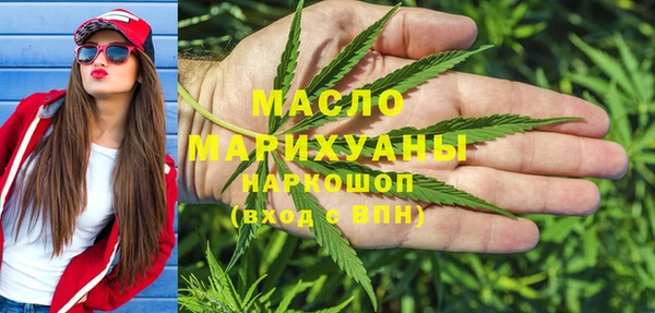 сатива Беломорск