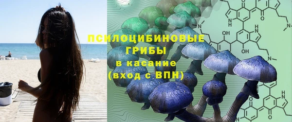 мяу мяу мука Белокуриха