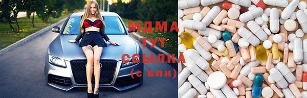 сатива Беломорск
