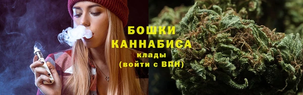 сатива Беломорск